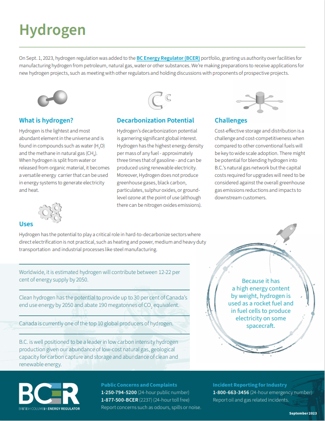 Hydrogen factsheet web