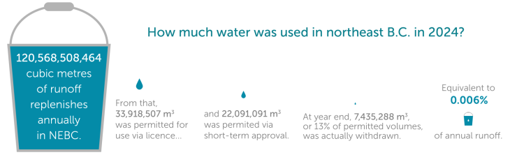 Water use buckets 2025 update 2024 data final