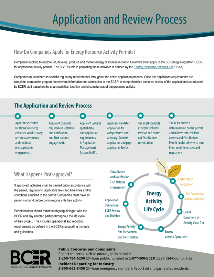 Factsheet thumbnail Application and Review Process