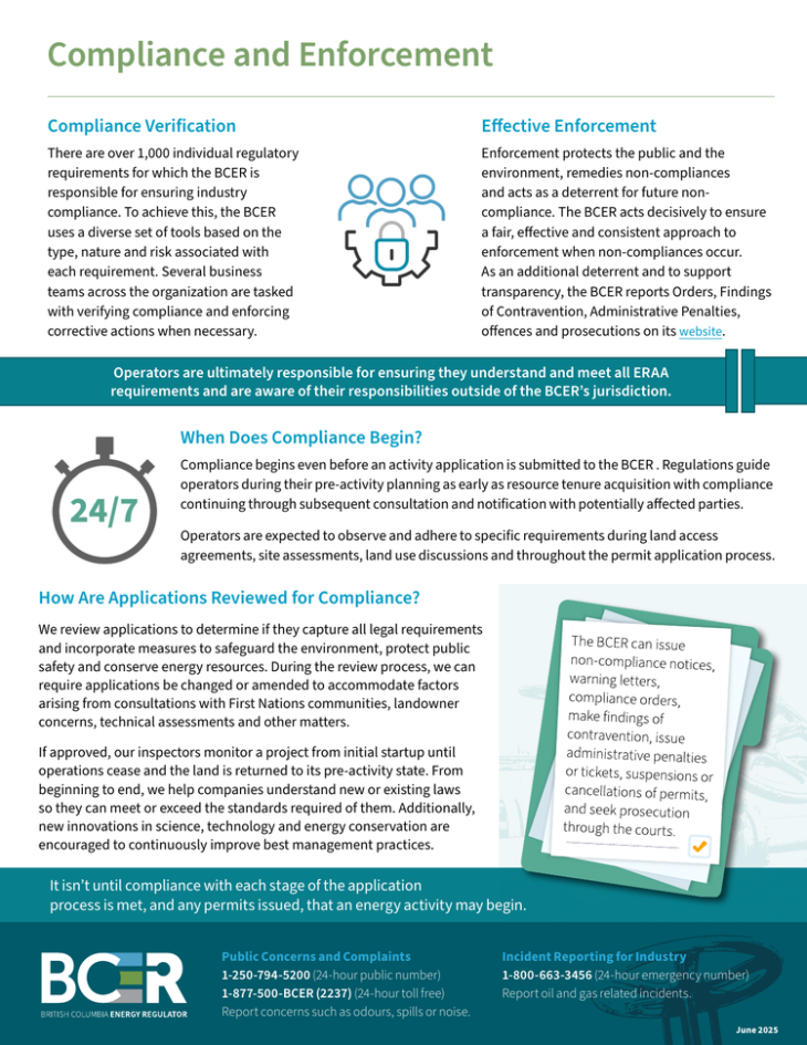 Factsheet thumbnail Compliance and Enforcement