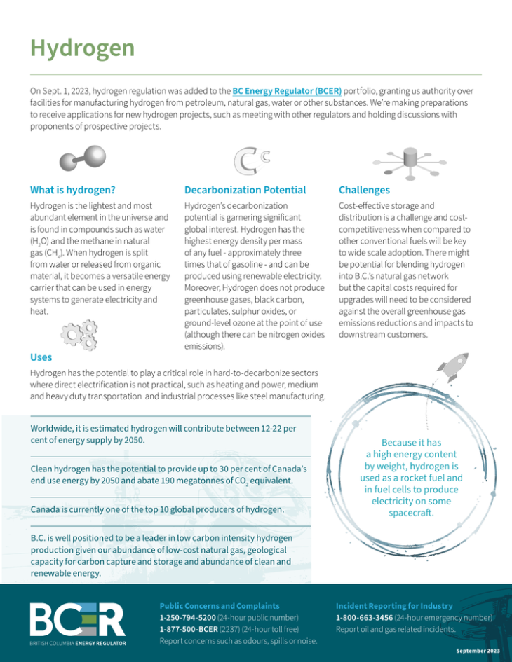 Factsheet thumbnail Hydrogen Fact Sheet
