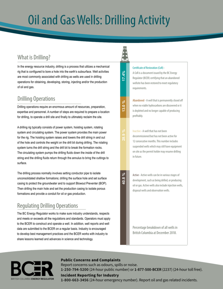 Factsheet thumbnail Oil and Gas Wells Drilling Activity