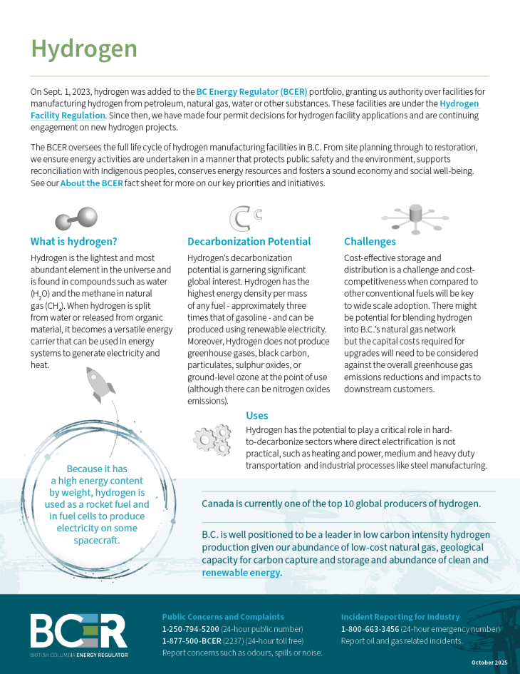 Thumbnail Hydrogen Fact Sheet Oct 2025