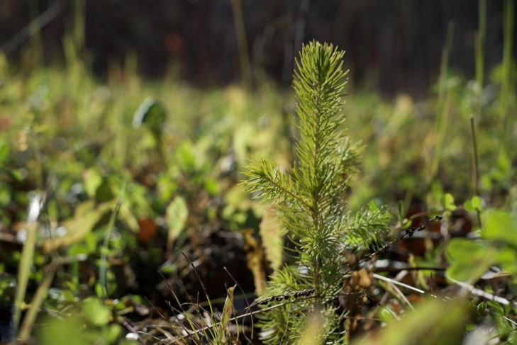 Clark Lake borrow pits fullsizeoutput 1f4f8