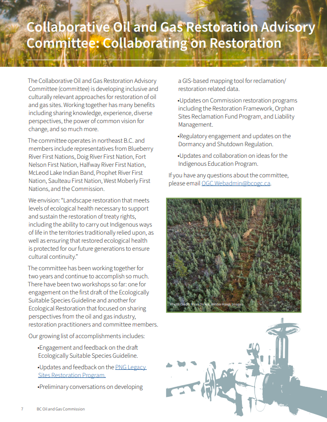 CC 2022 article