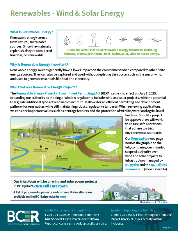 Renewables Fact Sheet thumbnail